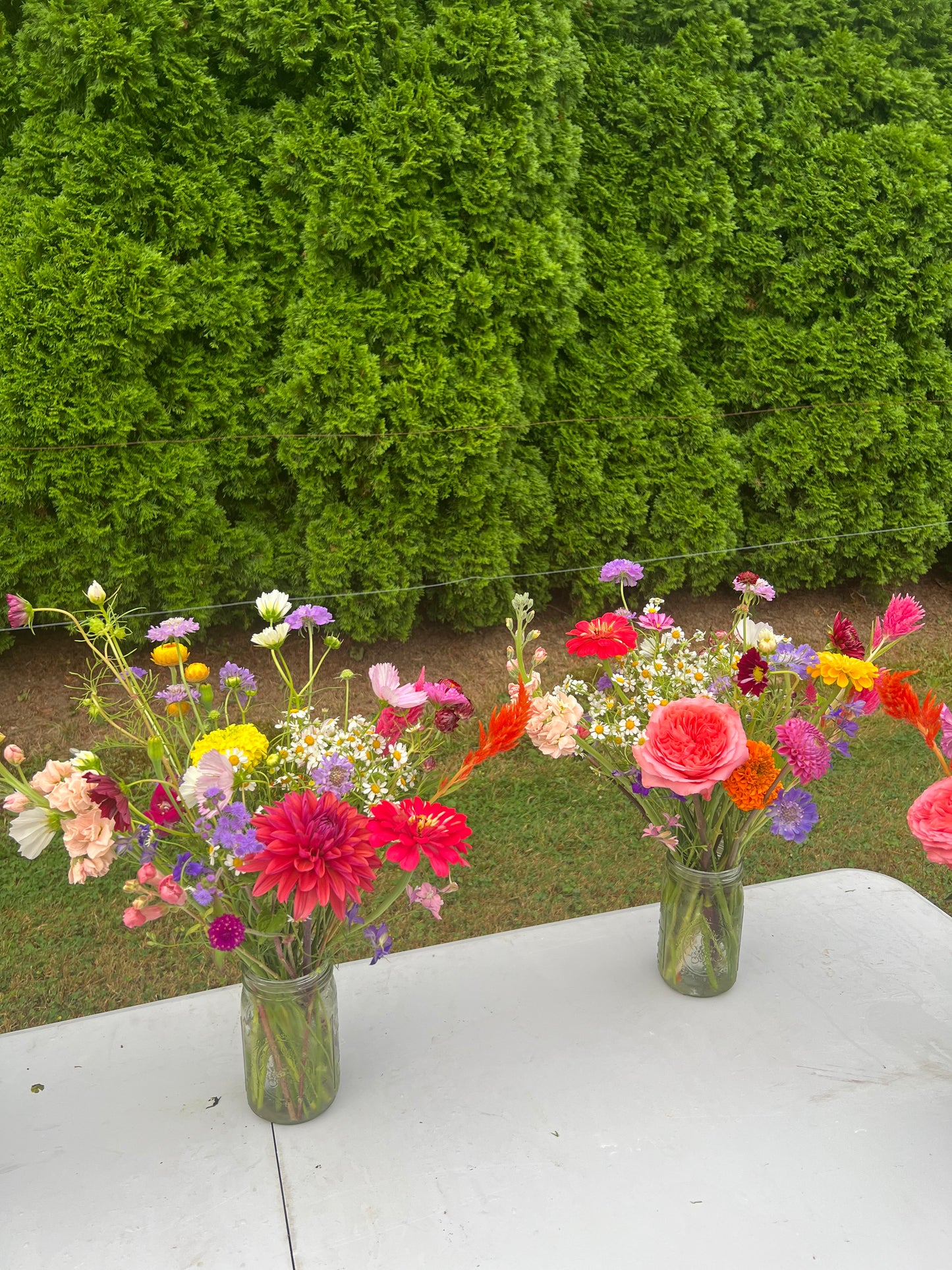 Large Ball Jar Arrangements (5 Pack)