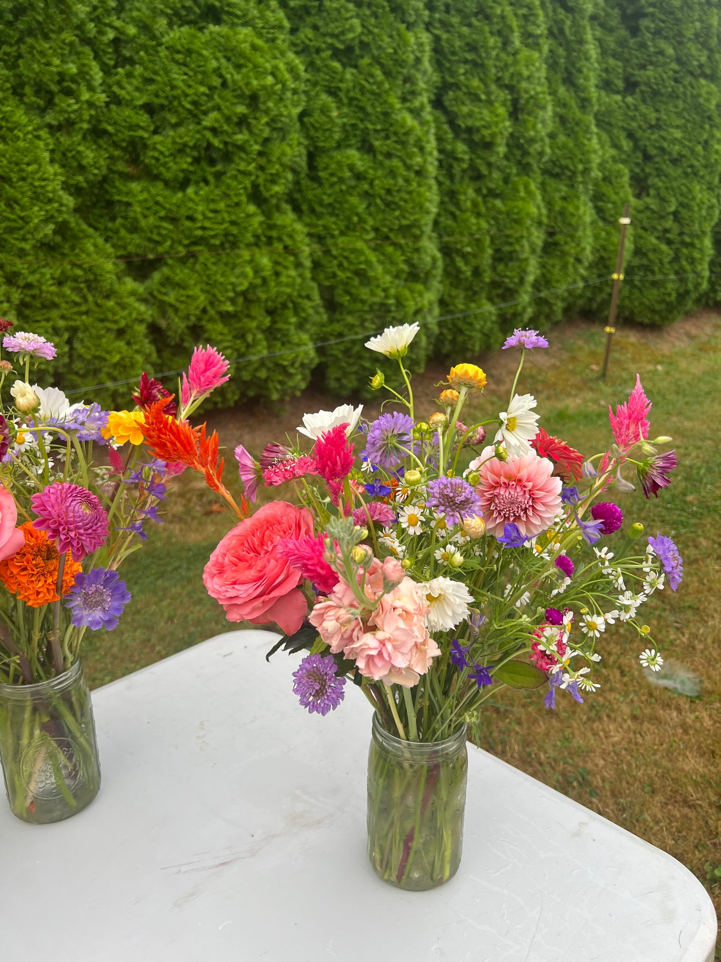 Large Ball Jar Arrangements (5 Pack)