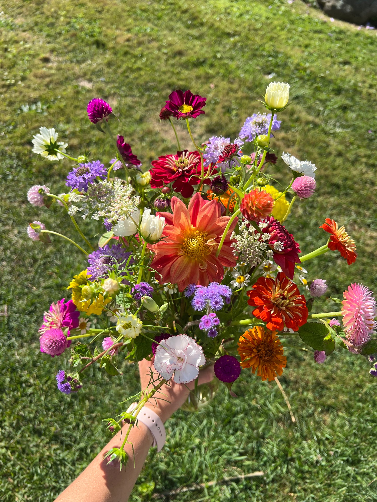 Large Ball Jar Arrangements (5 Pack)