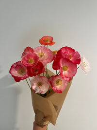 Poppy Bunch