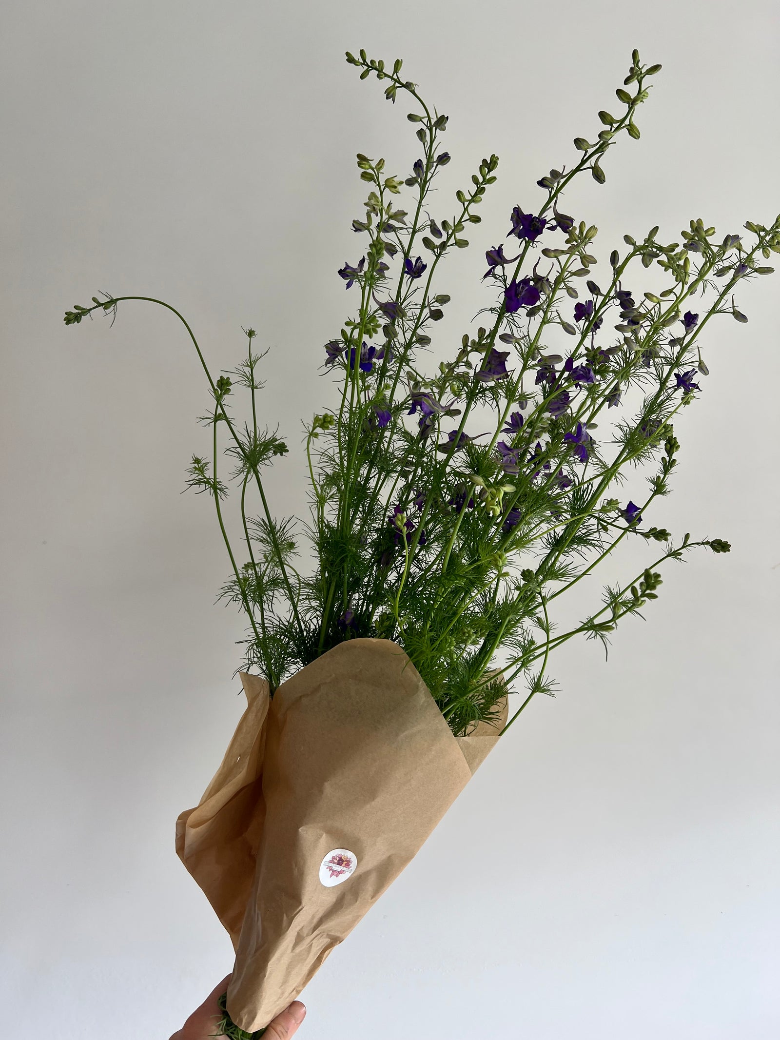 Larkspur Bunches