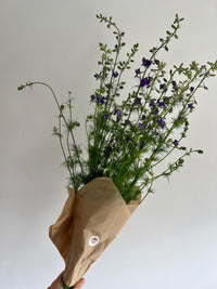 Larkspur Bunches