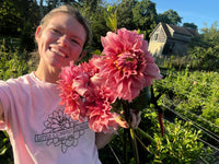Sierra Glow Dahlia Tuber