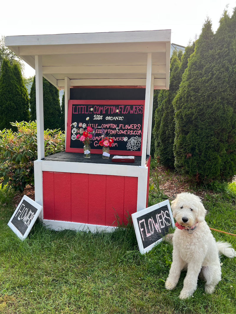 Roadside stand, midday sun