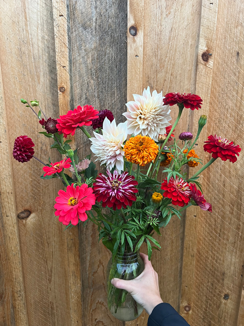Creamy dahlia and marigold jar