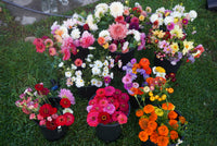 DIY Buckets