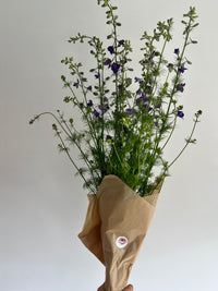 Larkspur Bunches
