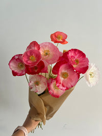 Poppy Bunch