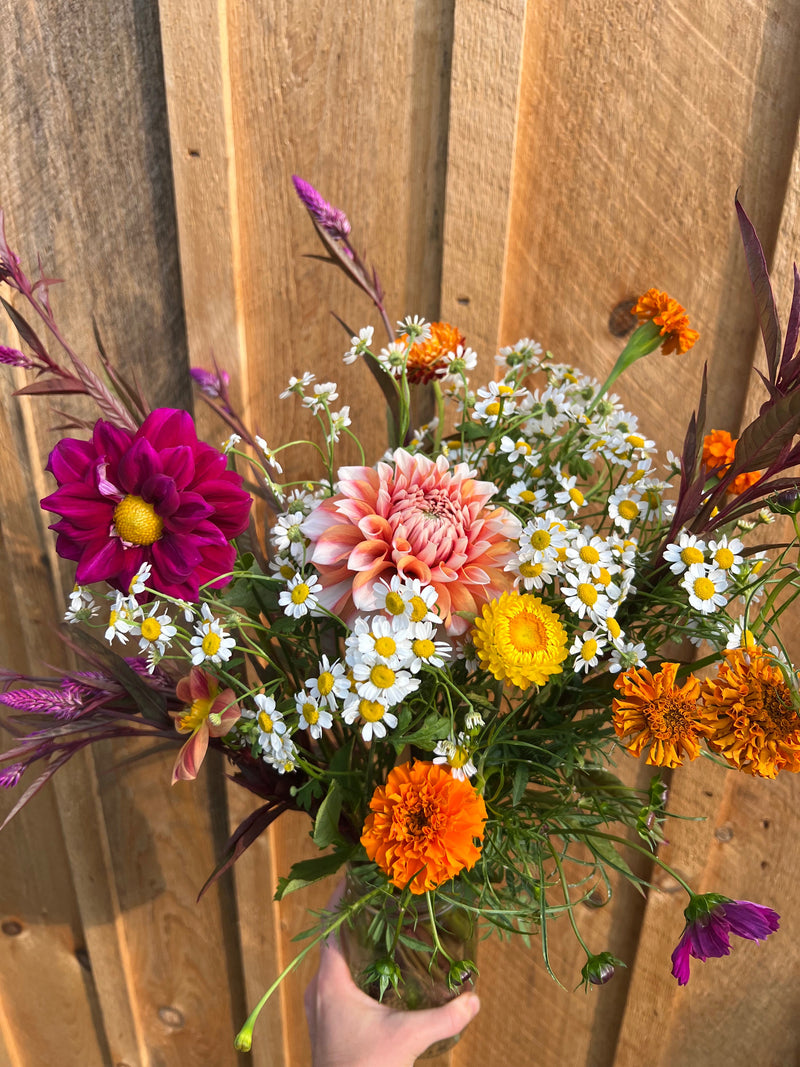 Peach and magenta dahlia bouquet