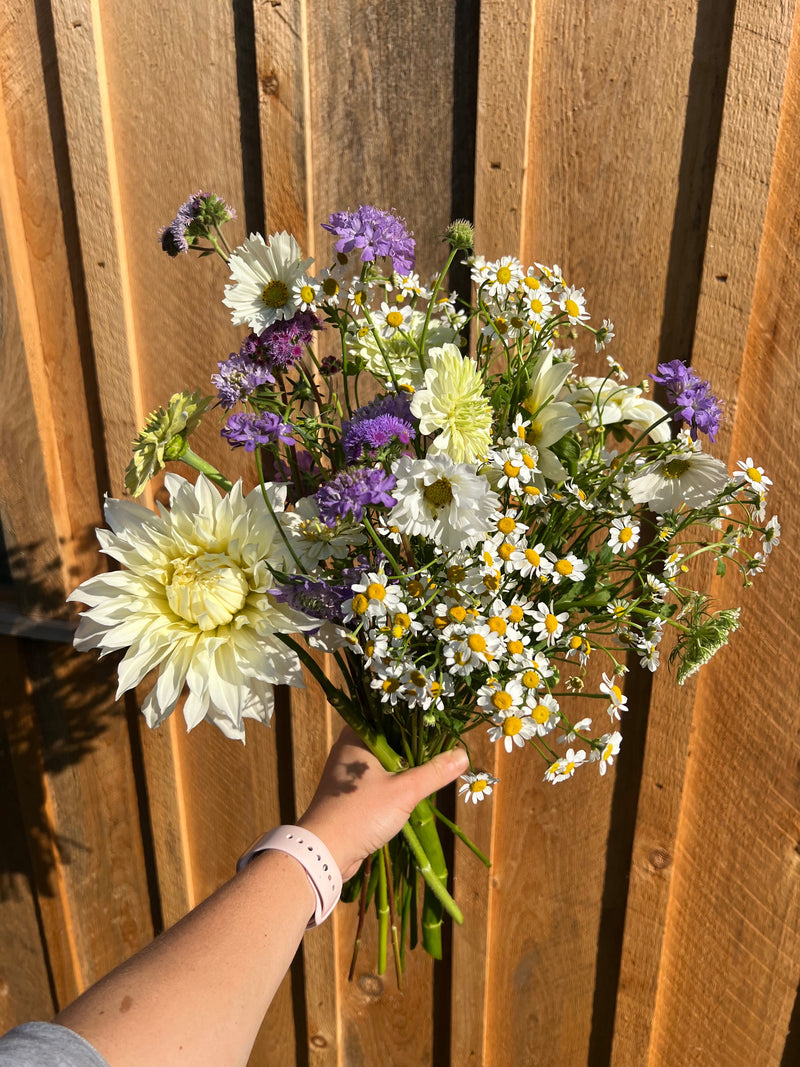 Cool palette — white and lavender