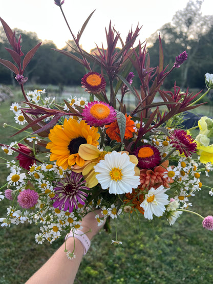 Large Ball Jar Arrangements (5 Pack)