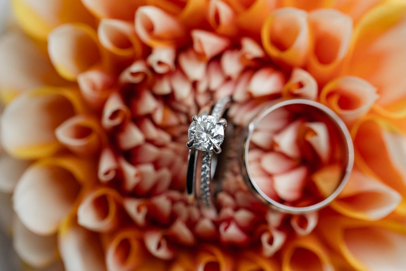 Rings nested in a peach dahlia