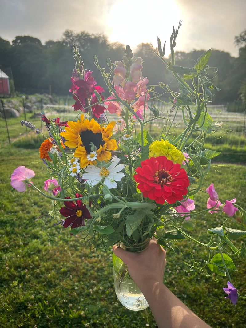 Wildflower jar at sunrise