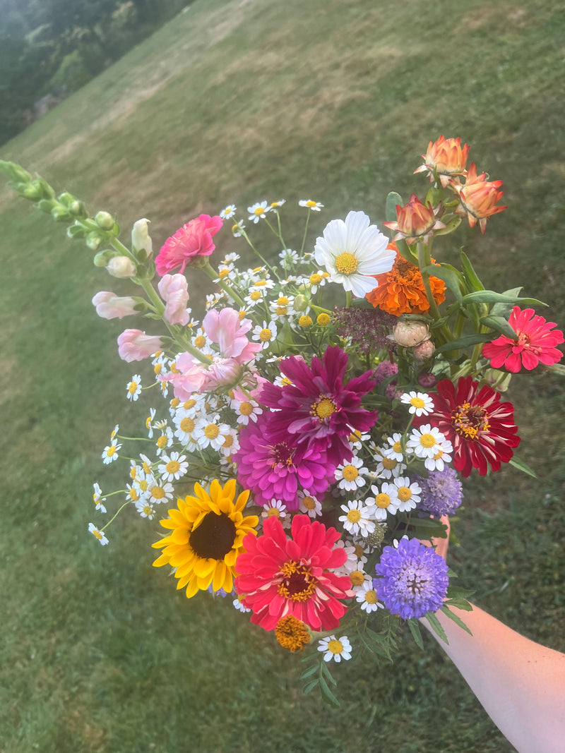 Cottage bouquet on a hillside