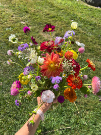 Large Ball Jar Arrangements (5 Pack)