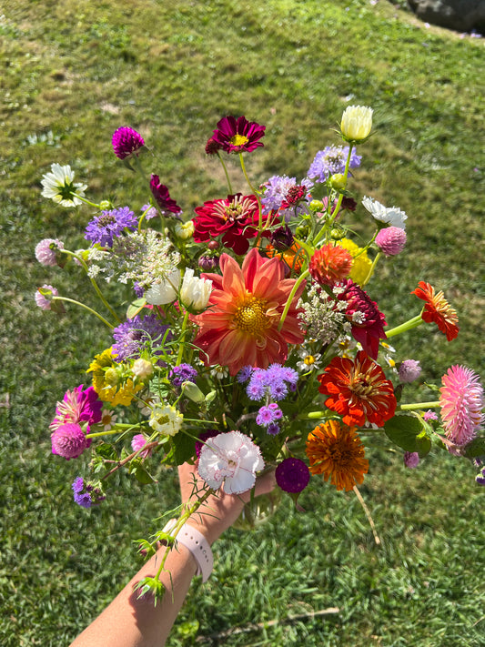 Large Ball Jar Arrangements (5 Pack)
