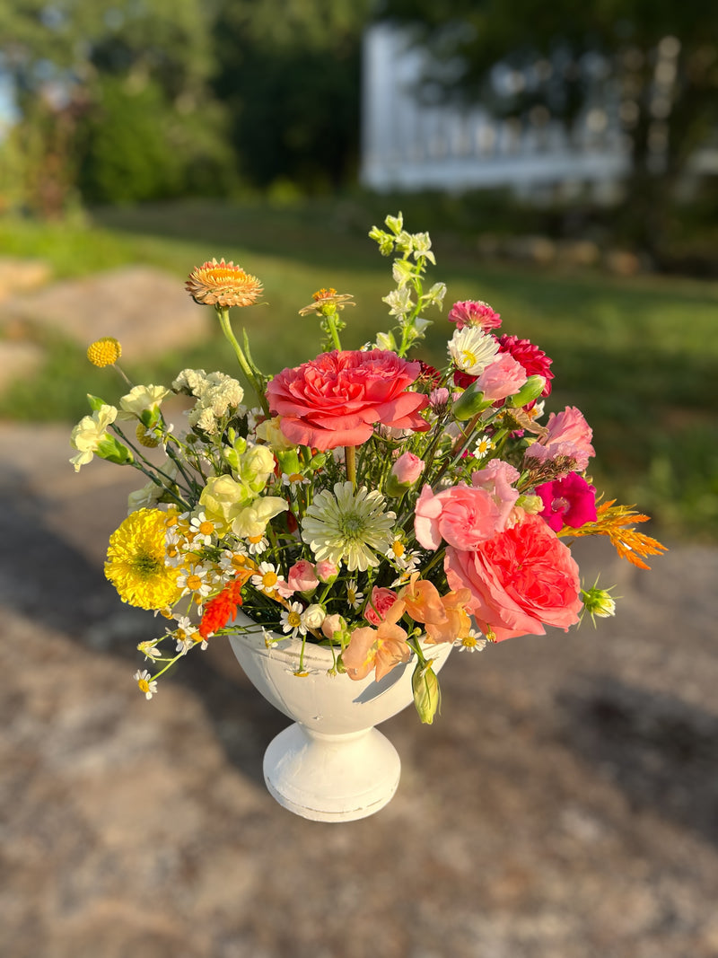 Urn on the driveway, golden hour